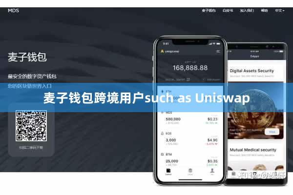 麦子钱包跨境用户such as Uniswap