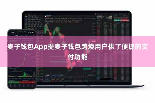 麦子钱包App提麦子钱包跨境用户供了便捷的支付功能